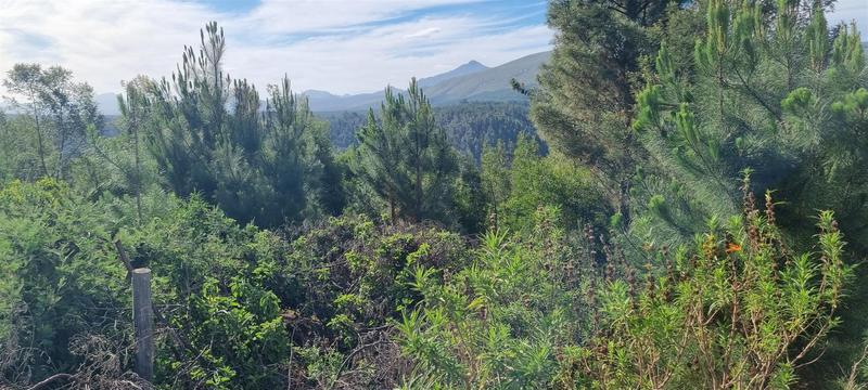 0 Bedroom Property for Sale in Friemersheim Western Cape